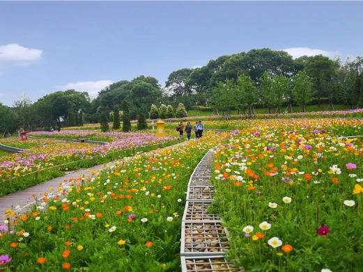 岳阳花语世界