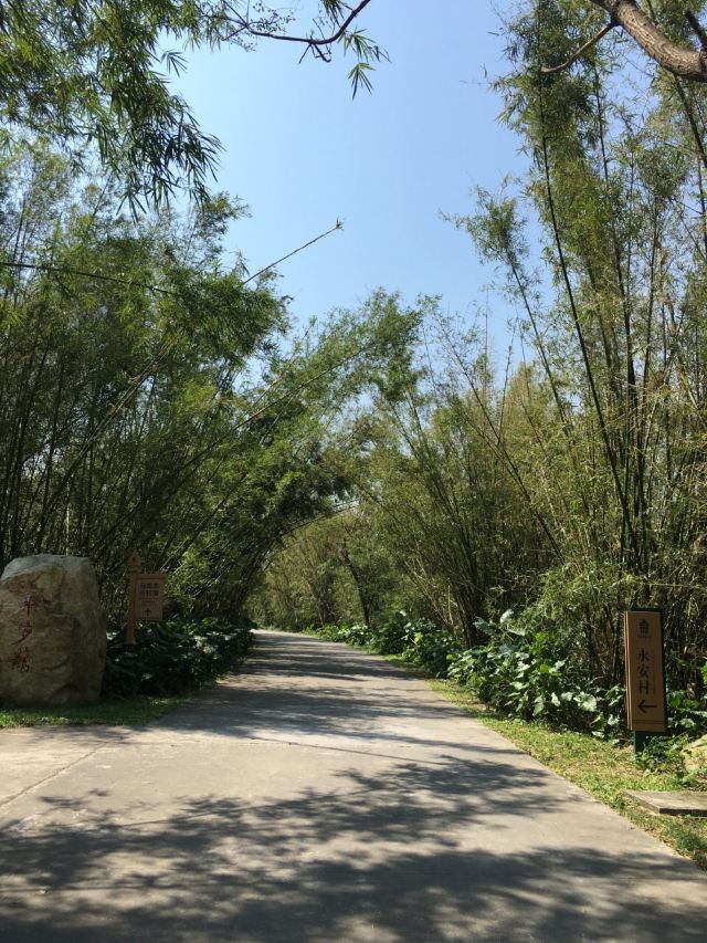 Ma-Xianglong Towers Group