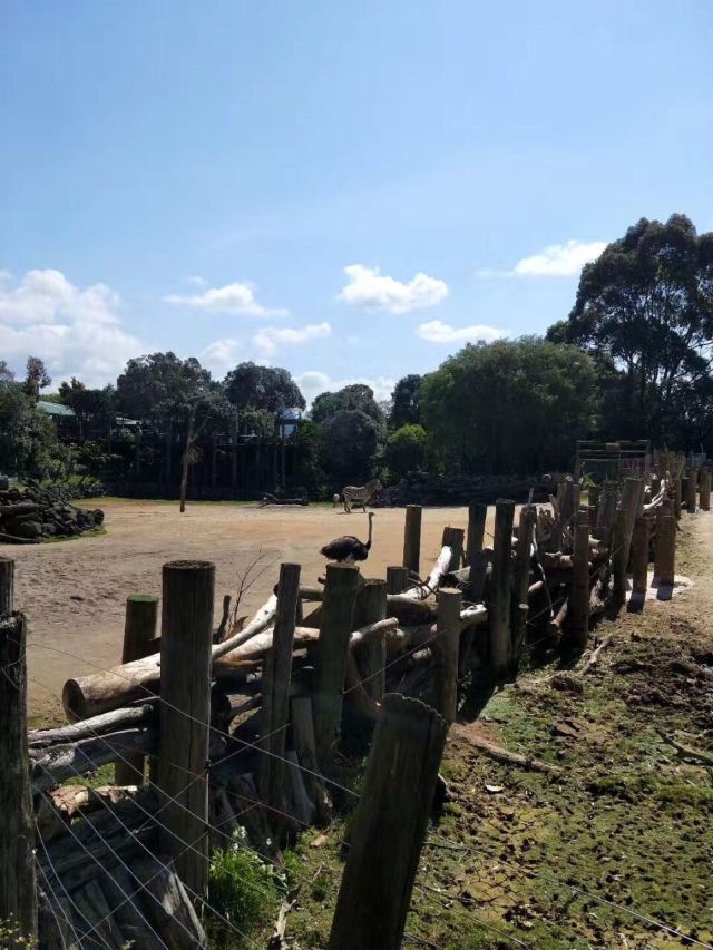Auckland Zoo