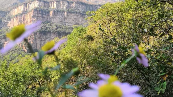 洪谷山風景區