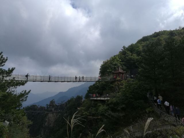 龍門飛渡索橋