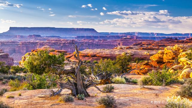 <6天>【五大公園+三大攝影聖地】住2晚住拉斯五星酒店·羚羊谷+大峽谷+峽谷地+拱門+布萊斯+錫安+紀念碑谷+馬蹄灣、可選峽谷直升機/拉斯夜遊等