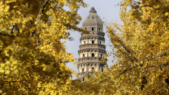 虎丘山風景名勝區-虎丘塔