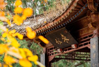 北京香山公园包车一日游【赏秋之地/上门接送/时间自由】【北京踏春好风景景区：北京香山，可选增加颐和园、北海、鸟巢套餐，北京城区的“绿肺，奥森；】