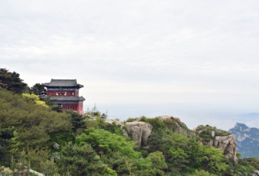 泰山+岱庙一日游【4-6人私家团+上门接送.金牌导游】【[超全时长趣味讲解]含导游人工讲解的泰山路线是天外村路线，双车双索上下，（门票景交车和索道费用自理）】