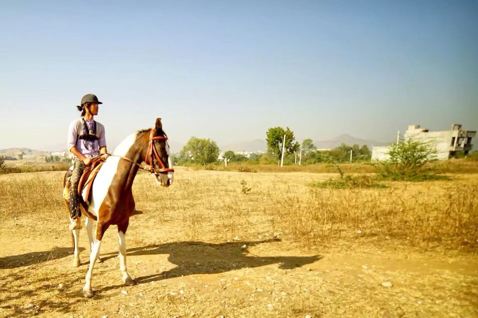 在印度骑马是什么样的体验？