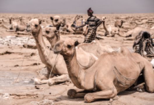 Denkalya Desert景点图片