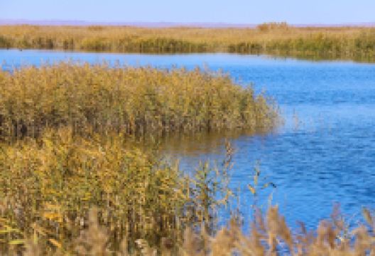 青土湖景点图片