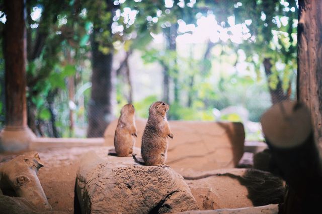 Sanya Romance Park
