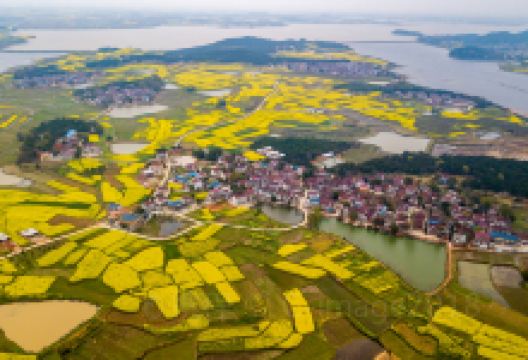 武昌湖景点图片