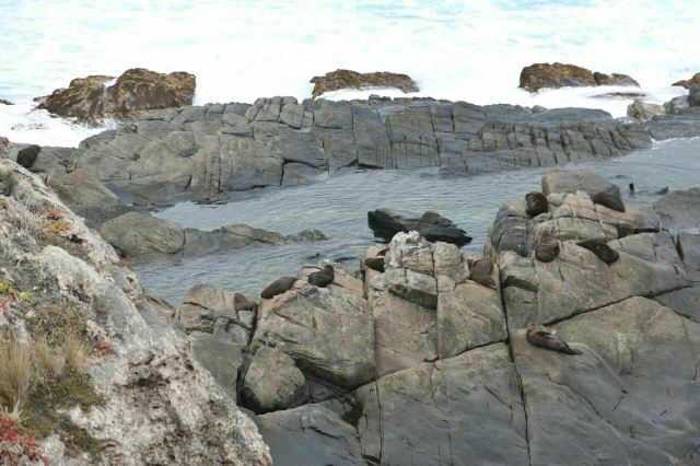 Admirals Arch