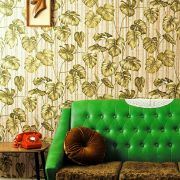 一只名叫坚强的西瓜