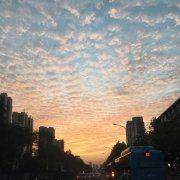 我要变回哥哥姐姐