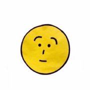 伟嘉安捷刘亚青