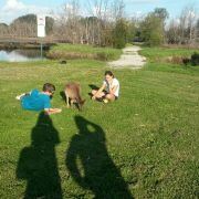 马濛雪今天有点呆