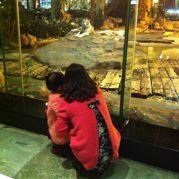 搁浅不了的琉璃悲