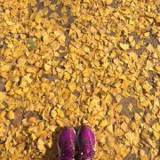 二十四岁的双子座