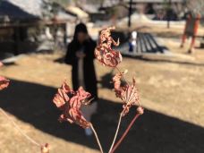 灵山寺-冕宁-YoYo_5L7K4Q9Q