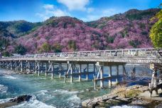 岚山-京都-尊敬的会员