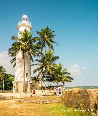 9D7N • Dambulla + Colombo + Anuradhapura + Elephant Orphanage + Sigiriya Lion Rock + Temple of the Sacred Tooth Relic + Dambulla Cave Temple + Mirissa Whale Watching Cruise