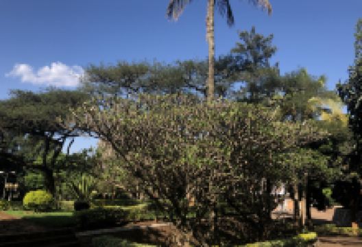 Institute Of National Museums Of Rwanda景点图片