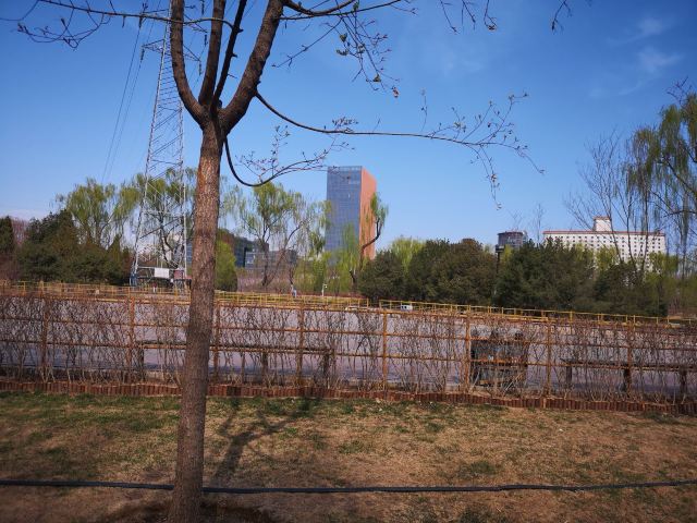 四得公园旅行图片 2