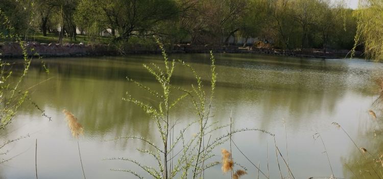 Yining City Seascape Park Tickets Deals Reviews Family - 