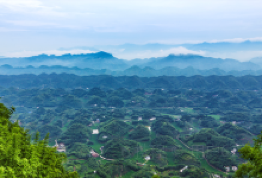 长宁旅游图片-重庆+宜宾两日游