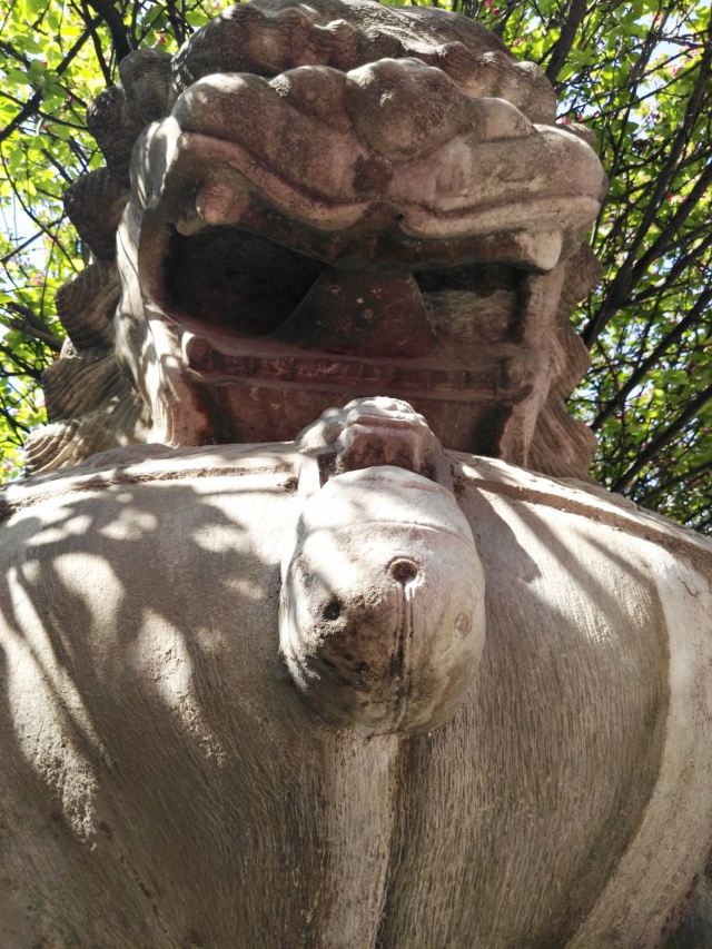 孚王府(不对外开放)旅行图片 5