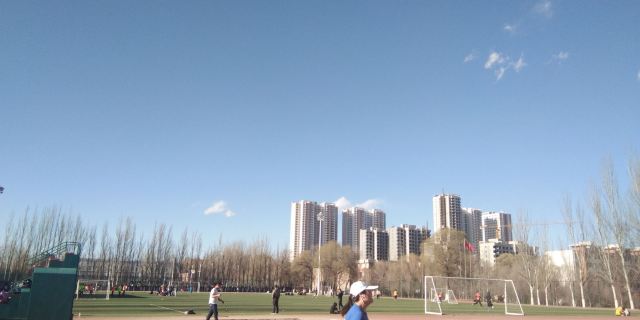 青海大学-党员活动公园旅行图片 4