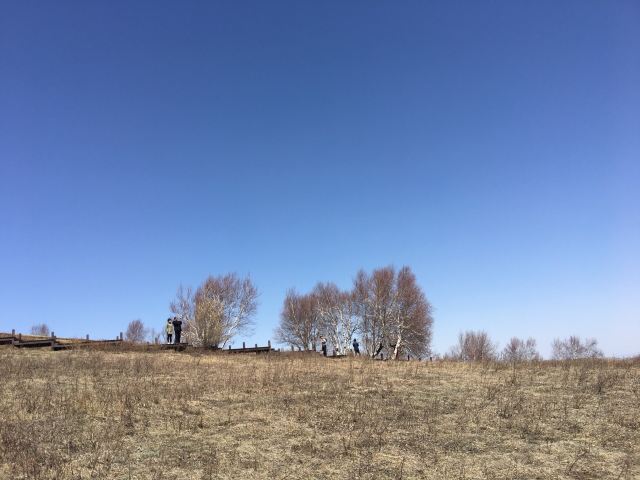 克什克腾旗草原旅行图片 1