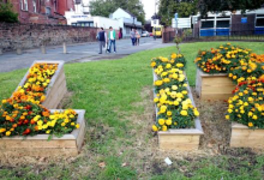 Lark Lane景点图片