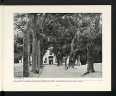 大康斯坦夏葡萄酒庄园-康斯坦提亚