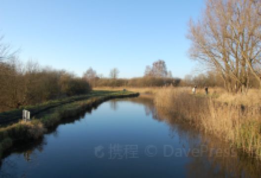 National Trust - Wicken Fen Nature Reserve景点图片