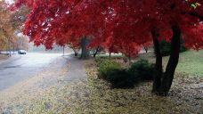 罗杰·威廉姆斯公园-普罗维登斯