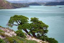 Evergreen Lake景点图片