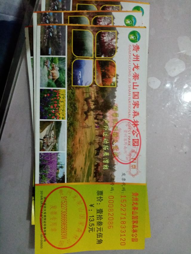 贵州龙架山国家森林公园旅行图片 1