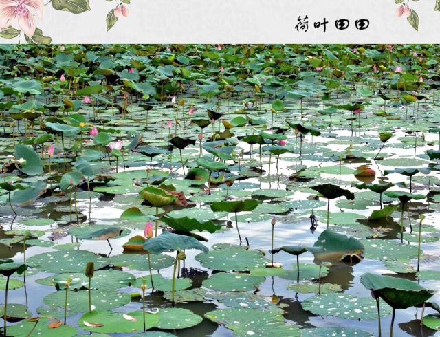 南沙