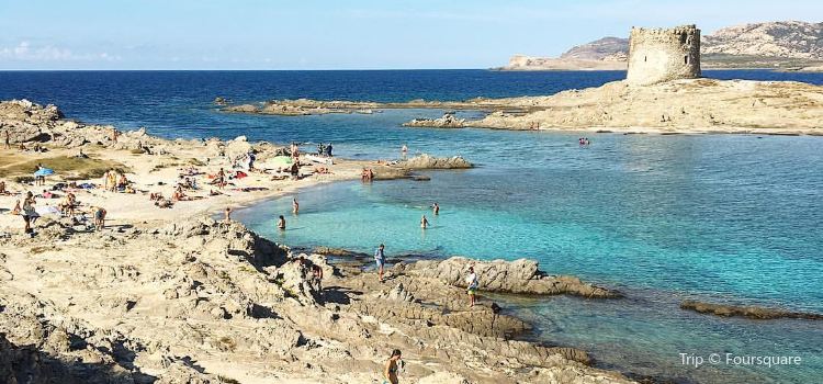 Spiaggia Della Pelosetta Tickets Deals Reviews Family