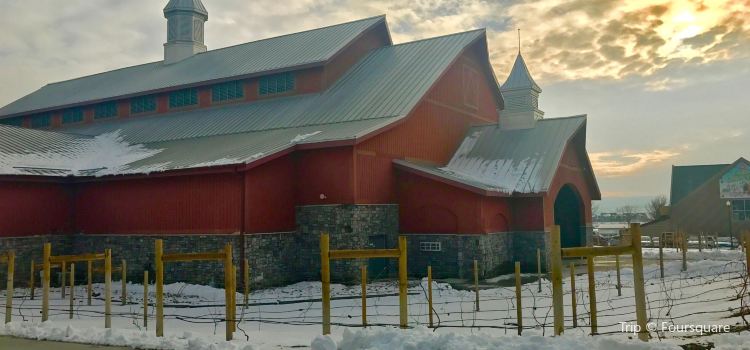 Art Institute At Thanksgiving Point Travel Guidebook Must Visit