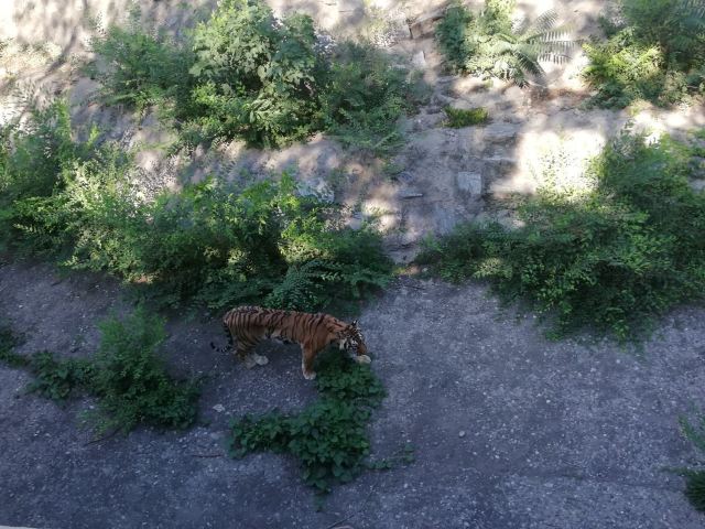 Beijing Zoo
