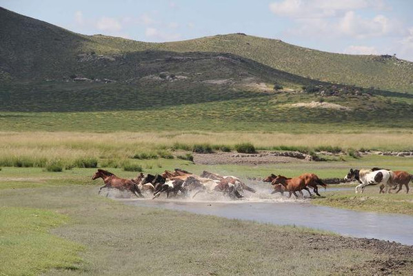 远离城市的喧嚣嘈杂，在蒙古国寻回最原生态的生活方式