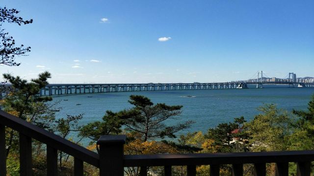 滨海路西段木栈道旅行图片 3