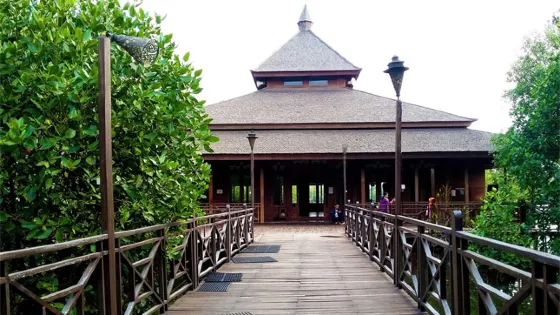 Wisata Alam Mangrove Pantai Indah Kapuk