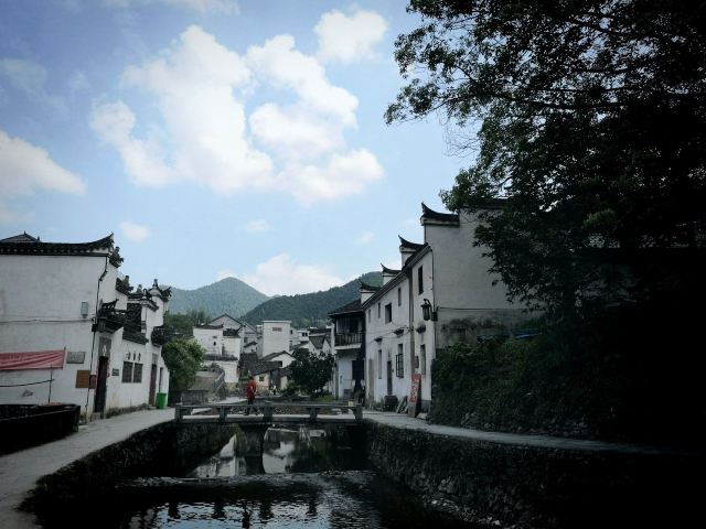 芹川村