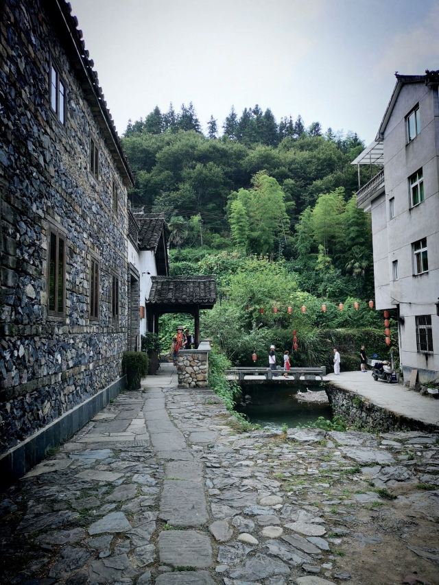 芹川村