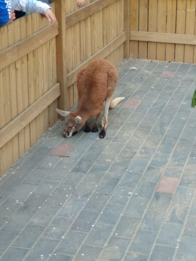 Beijing Wildlife Park