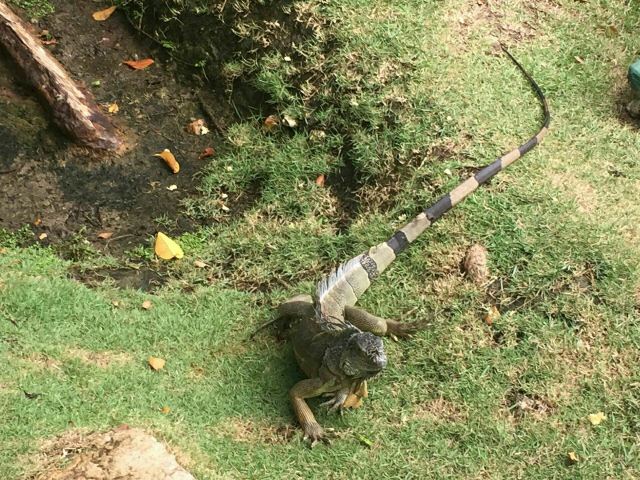 土著眼生態公園