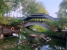 滨湖国家森林公园-合肥-YoYo_2X9N3N1R