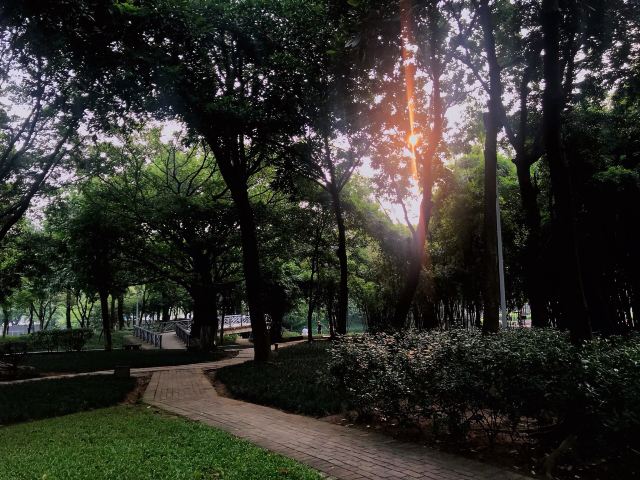 北滘公园旅行图片 7